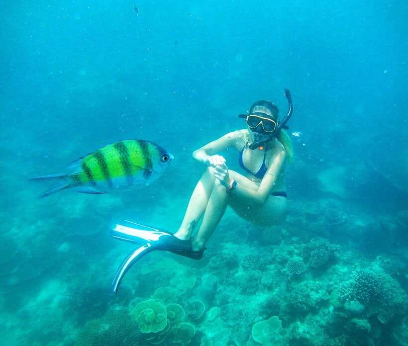 From Koh Lanta: Koh Haa & Koh Rok Snorkel Tour by Speedboat - The speedboat ride is part of the price
