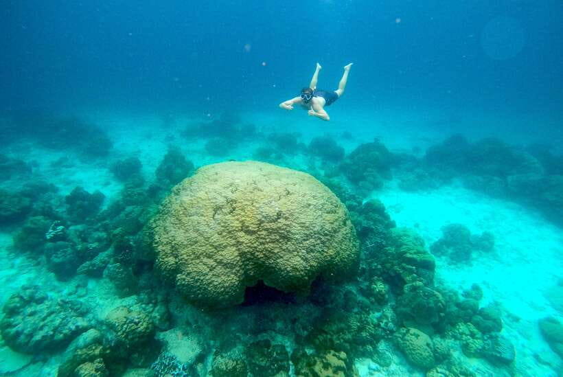 From Koh Lanta: Koh Haa & Koh Rok Snorkel Tour by Speedboat - How good is the lunch and equipment?