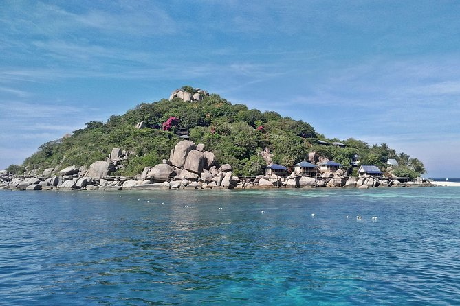 From Koh Samui: Koh Tao & Koh Nang Yuan Snorkeling (by Speedboat) - Who should book this Koh Tao day trip?