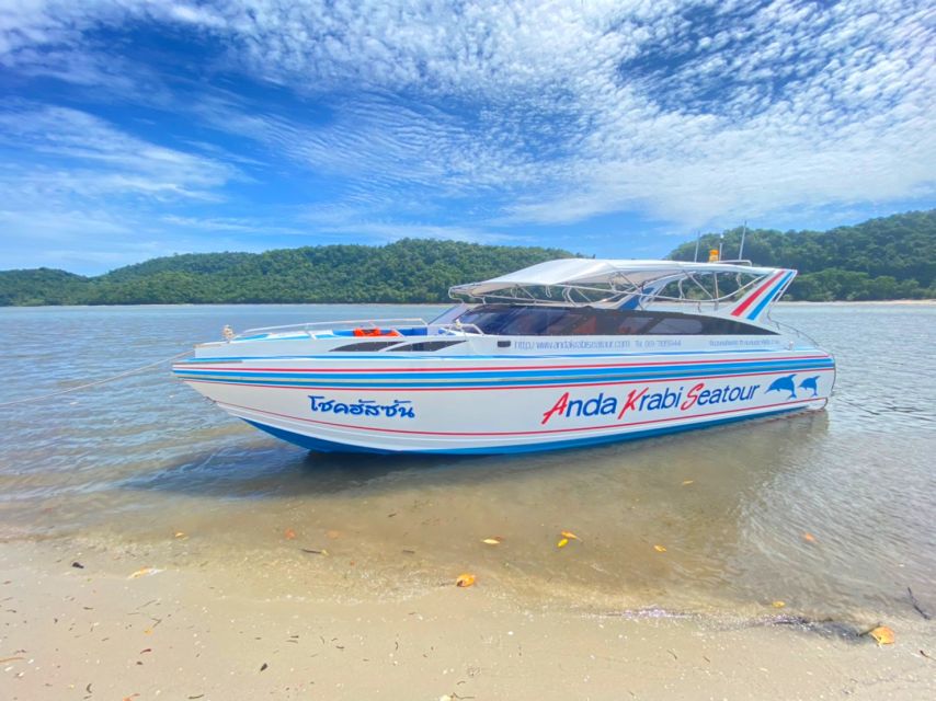 From Krabi: Phi Phi Island Full-Day Private Speed Boat Tour - Families, older adults, and less-confident swimmers