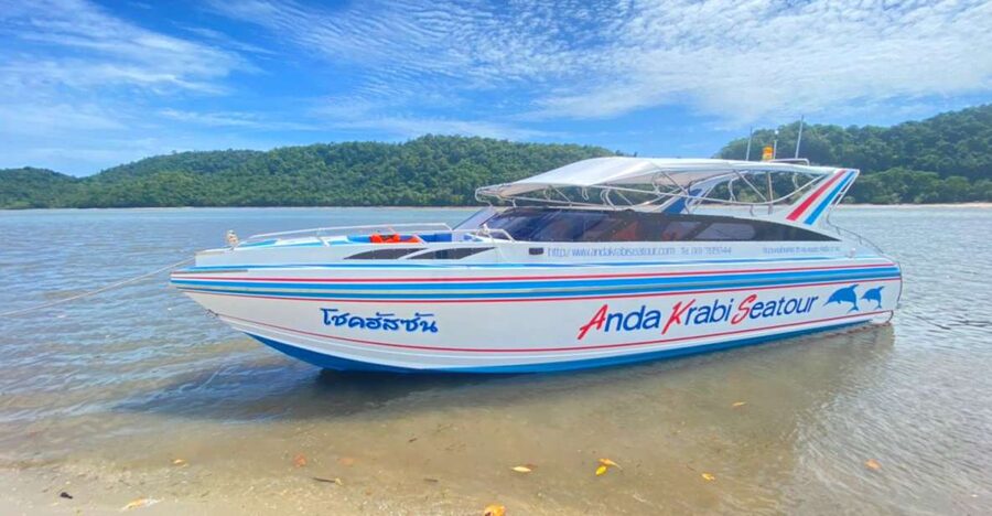 From Krabi: Phi Phi Island Full-Day Private Speed Boat Tour - Why a private Phi Phi boat changes the day