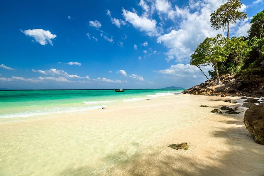 From Krabi: Phi Phi Islands Speedboat Day Tour - Why this Krabi Phi Phi tour works well