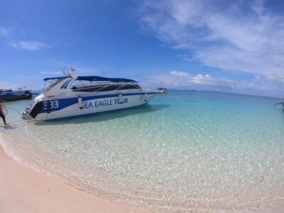 Phi Phi Islands Speedboat Day Tour