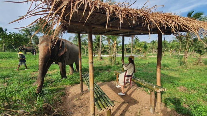From Pattaya: Living Green Elephant Sanctuary Day Trip - Changing Into Mo Hom Clothing