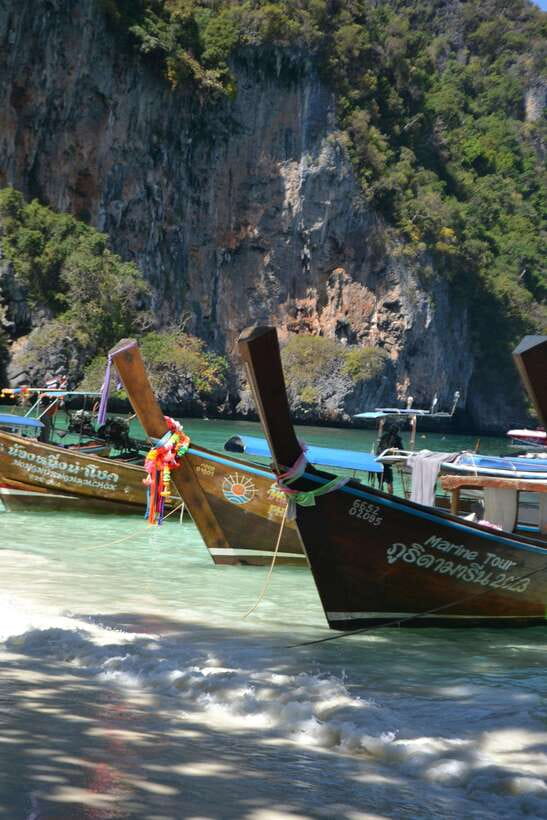 From Phi Phi: Full Day 7 Island Tour by Longtail with Sunset - Shark Point brings the best chance for wildlife