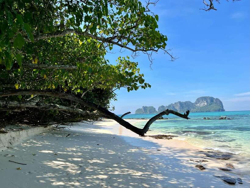 From Phi Phi: Full Day by Longtail Boat with Sunset - Shark Point and the snorkeling question