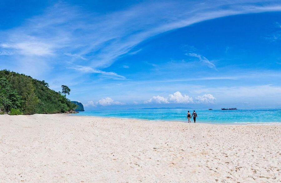 From Phi Phi: Full Day Snorkeling Trip by Longtail Boat - Monkey Beach starts the day with wildlife