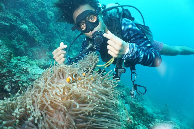 From Phi Phi: Half Day Discover Scuba (2 Dives) - Viking Cave and Maya Bay add context between sessions