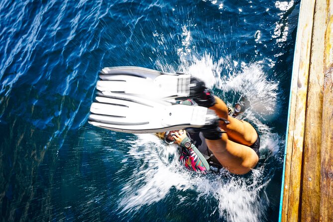 From Phi Phi: Half Day Discover Scuba (2 Dives) - What the two reef sessions are like