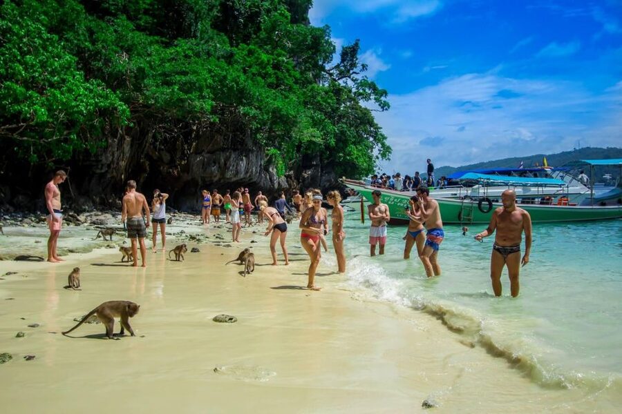 From Phi Phi: Half-Day Longtail Boat Tour with Snorkeling - Viking Cave: a quick look at Phi Phi’s limestone coast