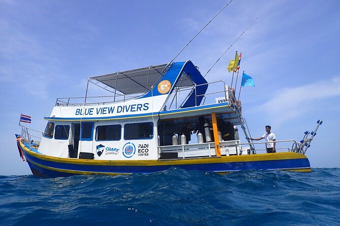 From Phi Phi: Half Day Trip for Certified Divers (2 Dives) - Why two reef sessions make sense around Phi Phi