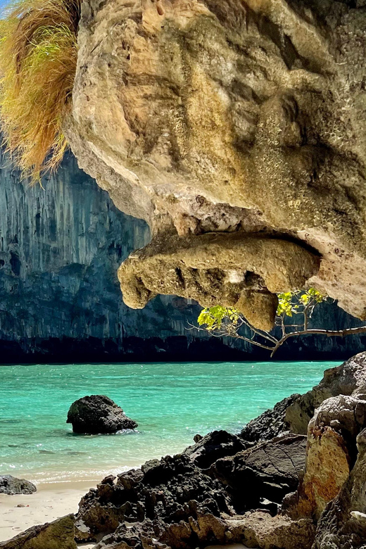 From Phi Phi : Splash & Explore – Half-Day Tour By longtail - Monkey Beach, where the animals are the main attraction