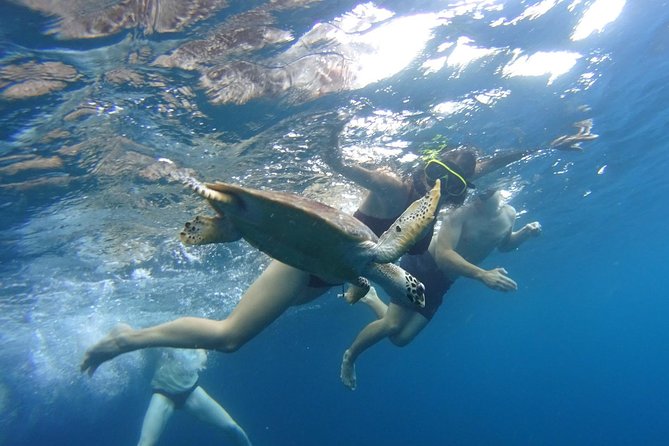From Phi Phi: Sunrise & Beat The Crowds to Maya Bay by Speedboat - Monkey Beach, with a little caution