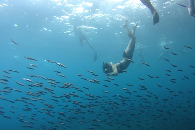 From Phi Phi: Sunrise & Beat The Crowds to Maya Bay by Speedboat - Boat comfort, group size, and the day’s rhythm
