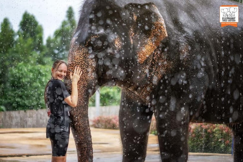 From Phuket: Elephant Jungle Sanctuary Feed and Shower Trip - Arriving at the Sanctuary in Phuket