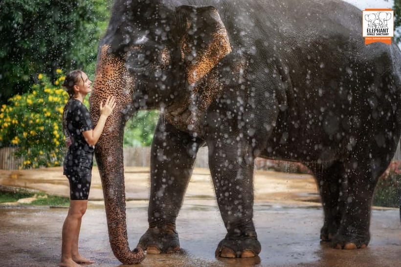 From Phuket: Elephant Jungle Sanctuary Feed and Shower Trip - Practical Packing Advice for the Shower
