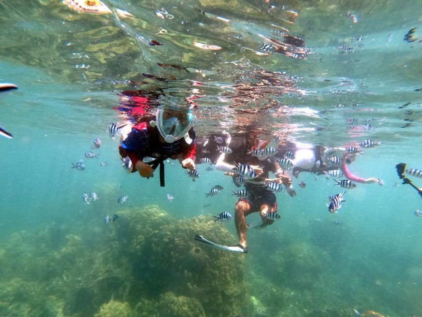 From Phuket: Phi Phi, Maya Bay, & Khai Islands Premium Trip - How much value do you get for $52?