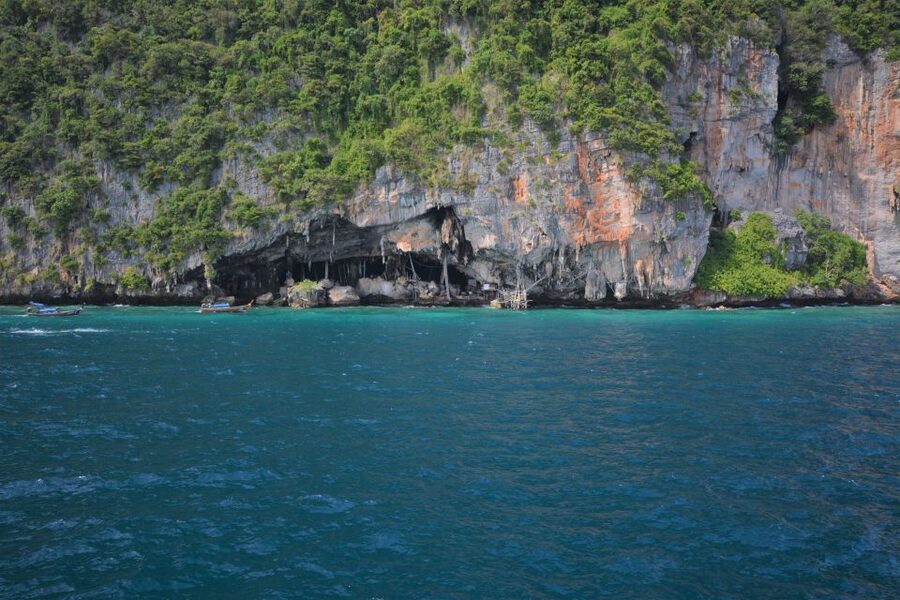 From Phuket: Snorkeling Ferry Cruise to Phi Phi Islands - Key points to know before booking