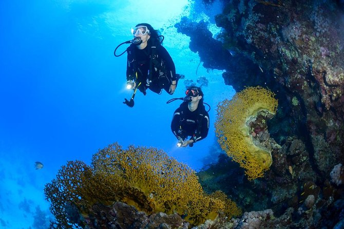 Full-Day Beginner Scuba Course with Private Tuition, Racha Yai - Learning the basics before your first descent