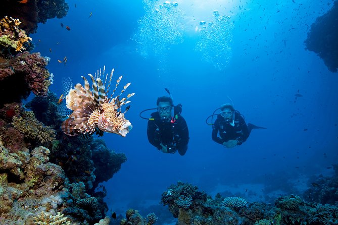 Full-Day Beginner Scuba Course with Private Tuition, Racha Yai - Koh Racha Yai and the two underwater sessions
