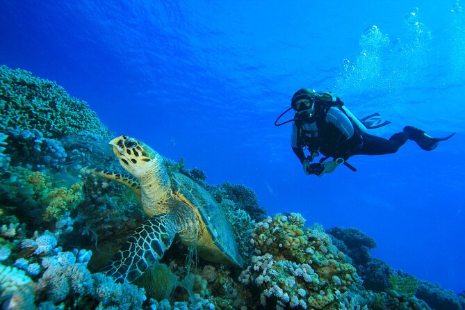 Full-Day Beginner Scuba Course with Private Tuition, Racha Yai - Food, equipment, insurance, and photographs