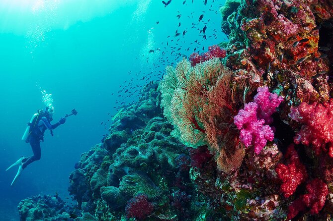 Full-Day Beginner Scuba Course with Private Tuition, Racha Yai - What the $162.73 price really buys