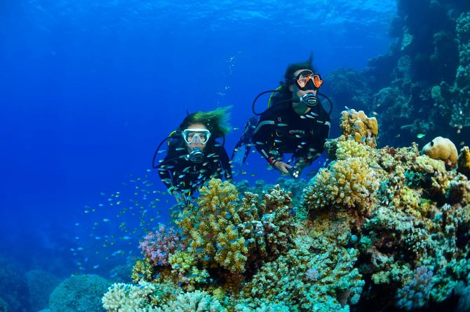 Full-Day Beginner Scuba Course with Private Tuition, Racha Yai - Who should book this Racha Yai experience?