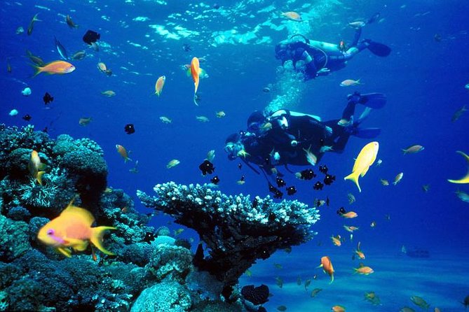 Full-Day Beginner Scuba Course with Private Tuition, Racha Yai - A large boat, with personal instruction below