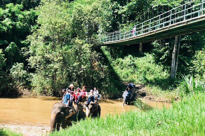 Full Day Car Hire with an English Speaking Driver in Chiang Mai - Elephant sanctuaries and ethical planning