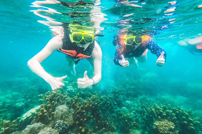 Full-Day Cruise of Koh Nang Yuan and Koh Tao From Koh Samui - Starting From Koh Samui With Pickup and Breakfast