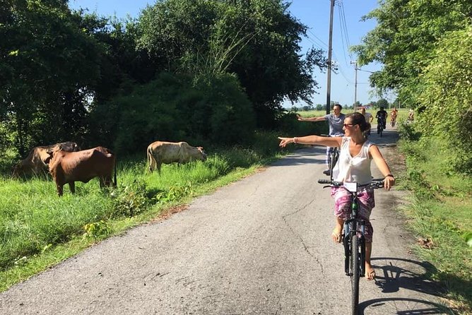 Full Day Cycling tour to Sukhothai Historical Park - Reaching the ancient city and Wat Chang Lom