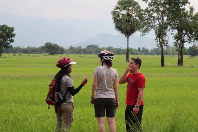 Full Day Cycling tour to Sukhothai Historical Park - Kilns, royal monuments, and the central temples