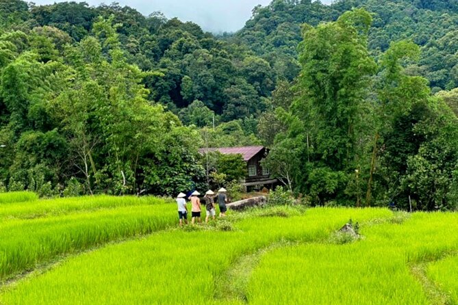 Full-Day Doi Inthanon National Park Tour with Trek and Pagodas - Hmong Market lunch and local produce