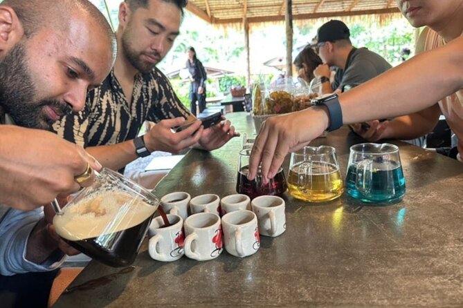 Full-Day Doi Inthanon National Park Tour with Trek and Pagodas - Karen village coffee in Baan Mae Klang Luang