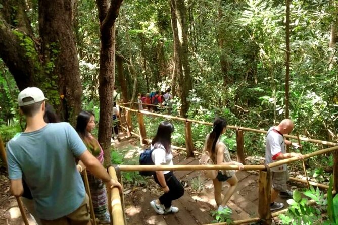 Full-Day Doi Inthanon National Park Tour with Trek and Pagodas - Transport, group size, and the long return