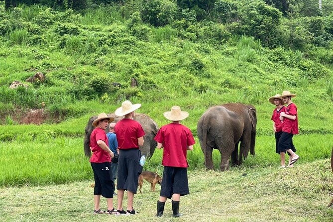 Full Day Experience at Ran-Tong Save & Rescue Elephant Centre - Clothing, weather, and what to pack