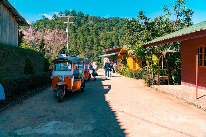 Full-Day Guided Tuk Tuk Chiang Mai Adventure and Rafting - What the $193.62 Price Really Covers