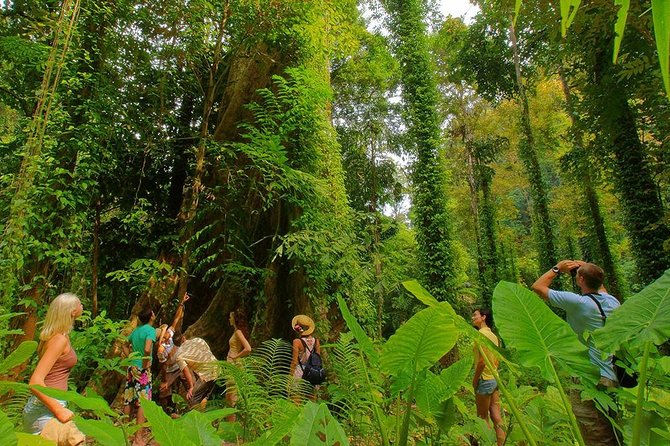 Full-Day Jungle Tour Including Tiger Cave Temple, Crystal Pool and Krabi Hot Springs - Thai lunch: useful, local, and sometimes too quick