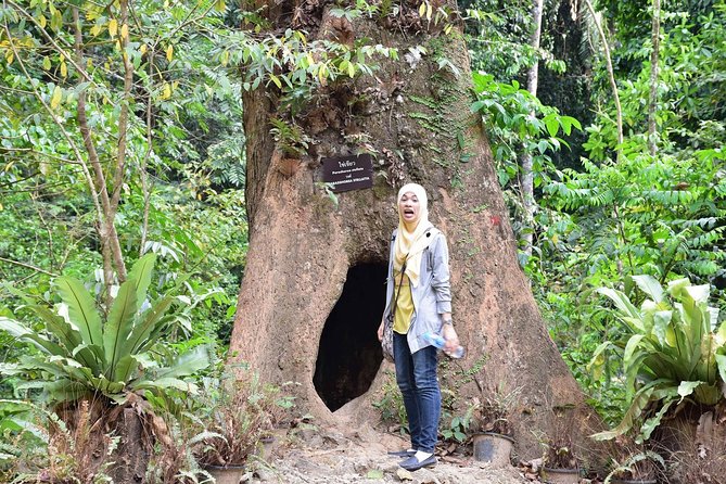 Full-Day Jungle Tour Including Tiger Cave Temple, Crystal Pool and Krabi Hot Springs - Tiger Cave Temple: the day’s great reward and biggest test