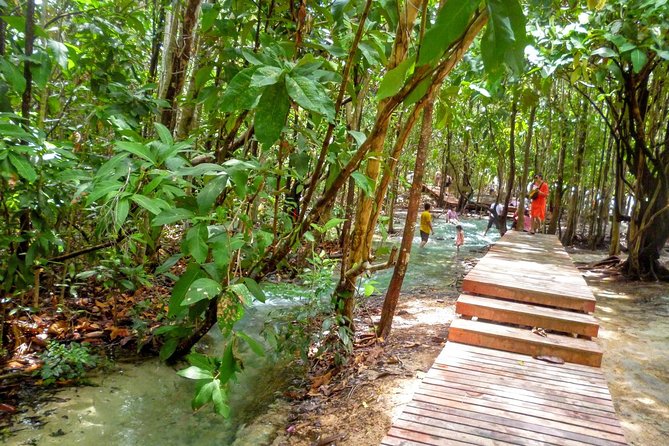 Full-Day Jungle Tour Including Tiger Cave Temple, Crystal Pool and Krabi Hot Springs - Who should book this day trip?
