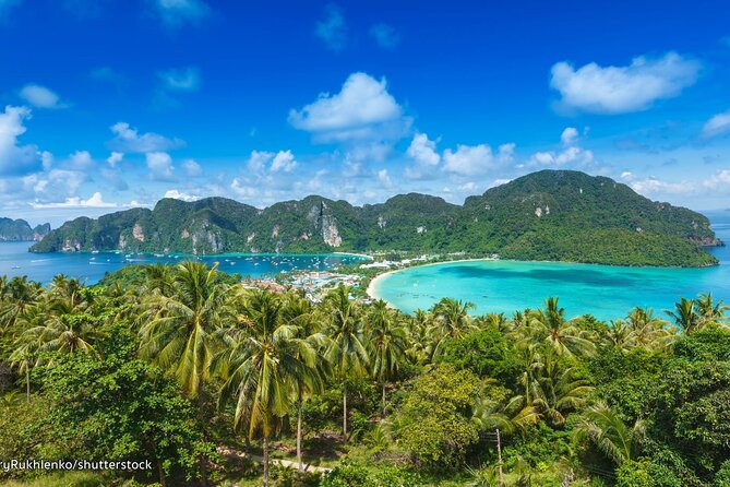 Full-Day Koh Phi Phi Scuba Diving Course from Phuket - Marine life, coral, and changing visibility