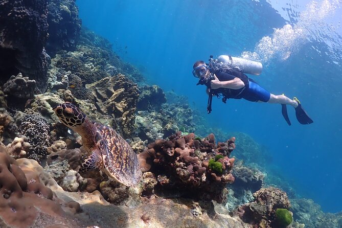 Full-Day Koh Phi Phi Scuba Diving Course from Phuket - Boat comfort and the rhythm of the day