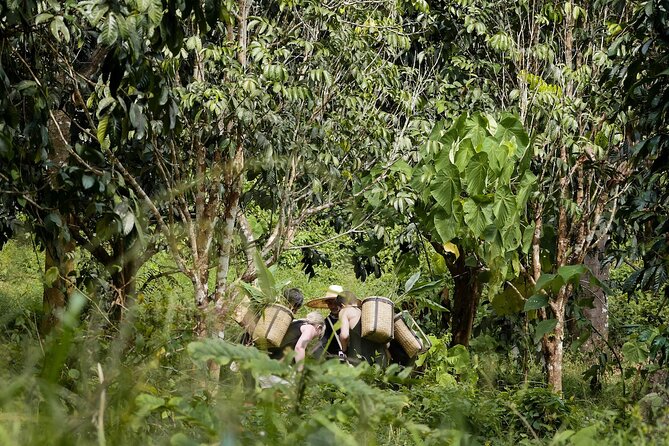Full-Day Phuket Elephant Sanctuary Tour with Lunch and Dinner - Learning elephant communication and ecology