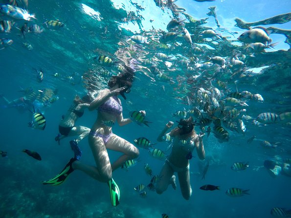 Full-Day Racha Noi and Racha Yai Snorkeling from Phuket - Racha Noi: two swims and the best snorkeling time
