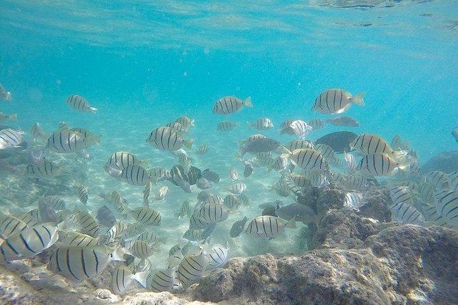 Full-Day Racha Noi and Racha Yai Snorkeling from Phuket - Safety, comfort, and the family question