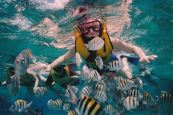 Full-Day Racha Noi and Racha Yai Snorkeling from Phuket - Transfers, timing, and practical costs