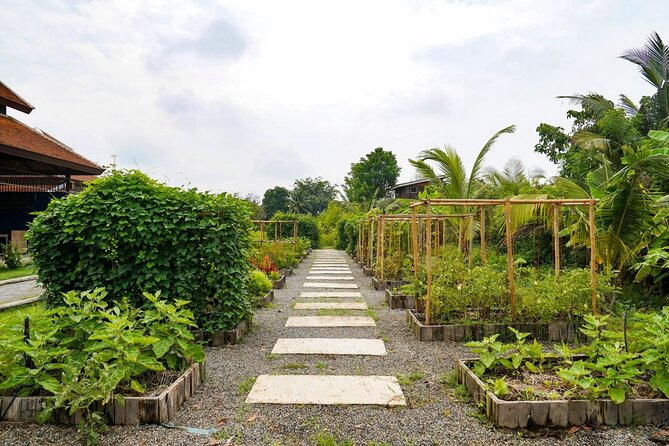 Full-Day Thai Cooking Class with Grandma - Market and Farm Tour - Is $58.33 Good Value?