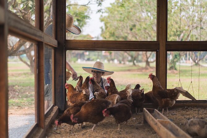 Full-Day Thai Cooking Class with Grandma - Market and Farm Tour - Who Will Enjoy This Day Most?