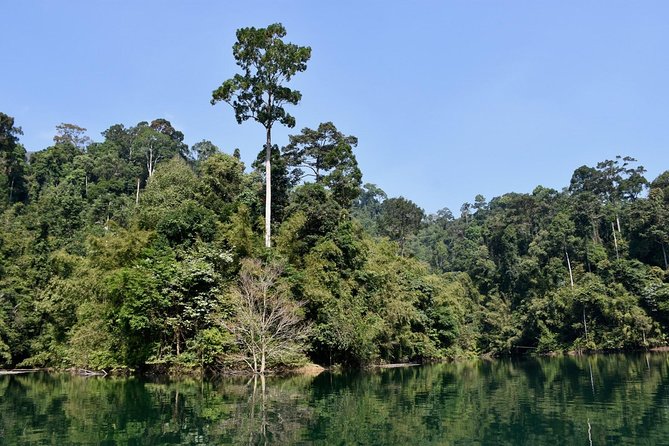 Full-Day Tour to Cheow Lan Lake in Khao Sok National Park from Krabi - Ratchaprapha Dam and the First View of the Lake