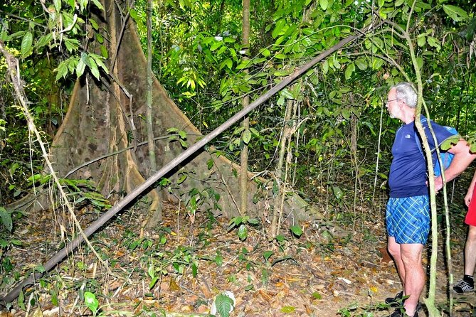 Full-Day Tour to Cheow Lan Lake in Khao Sok National Park from Krabi - Practical Tips for a Better Day